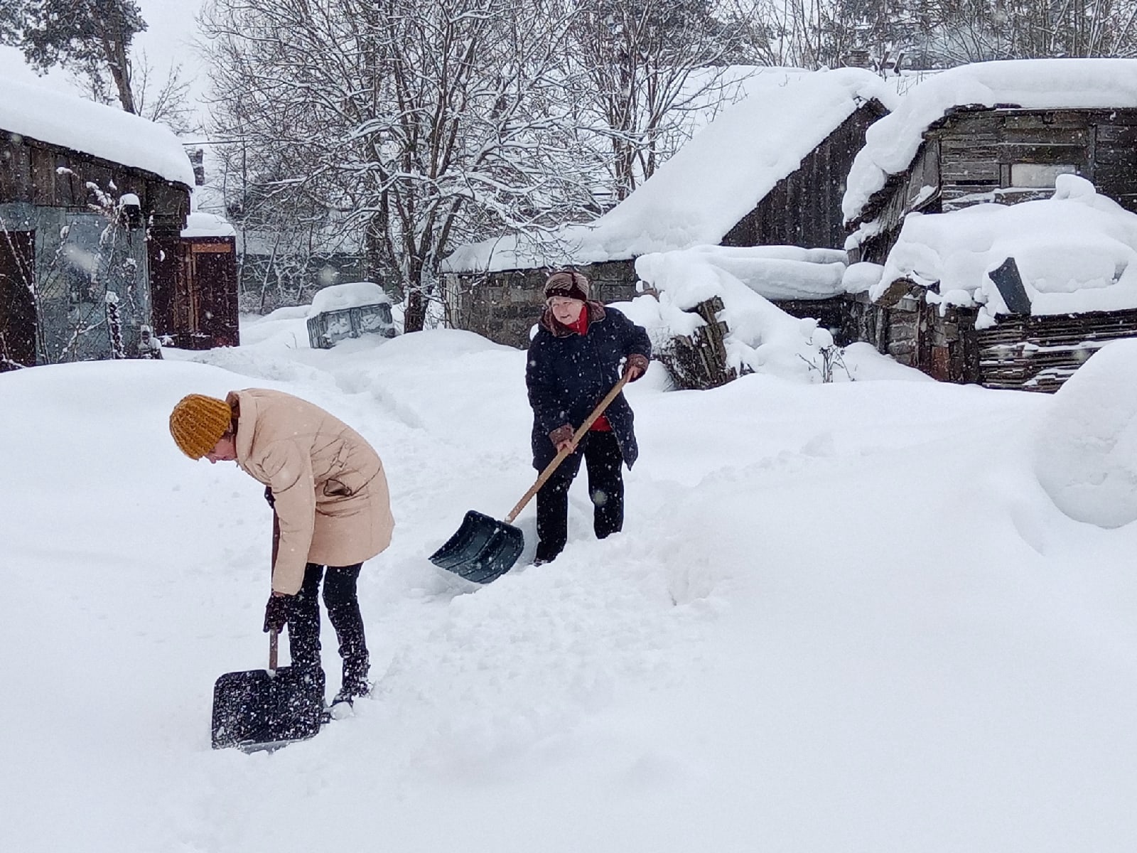 «Команда заботы» помогла расчистить снег 80-летней женщине в Кикерино